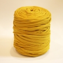 Pólófonal (P21)